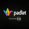 Nâng cấp Padlet Platinum 1 năm