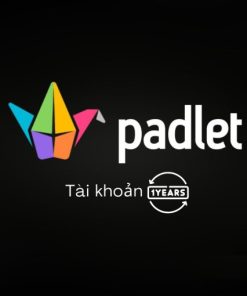 Nâng cấp Padlet Platinum 1 năm