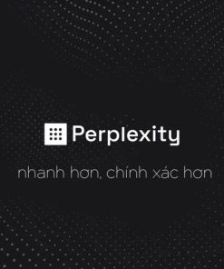 Tài khoản Perplexity AI Pro